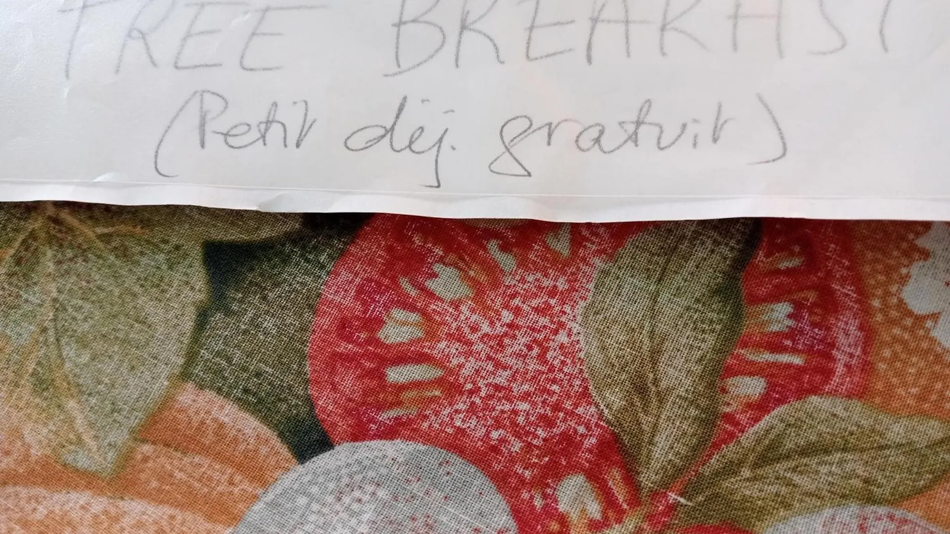 Chambre indépendante pour 1 personne sur jardin au calme Annecy Séjour chez l'habitant